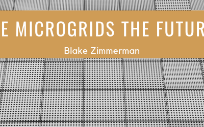 Are Microgrids The Future?