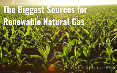 The Biggest Sources for Renewable Natural Gas
